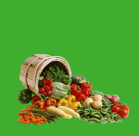 Site promo du service de livraison des plats cuisinés végétarienne VegLife